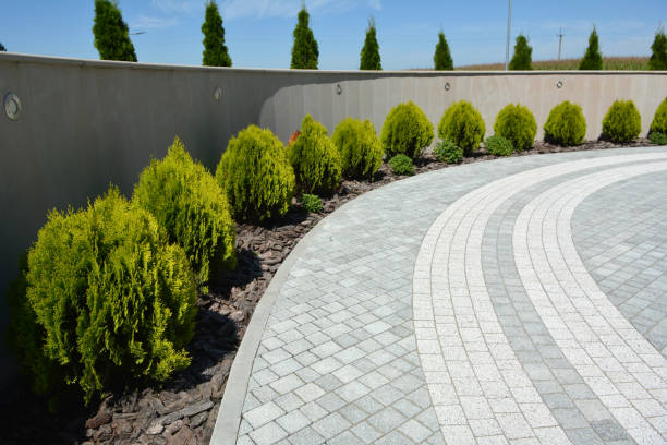Best Concrete Paver Driveway  in Holden Heights, FL